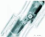 Zerogravity - 01
